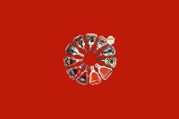 赣州市寻乌县回收红酒